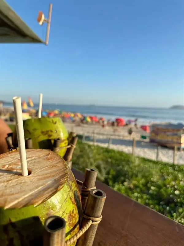 Cocos verdes gelados à beira da praia
